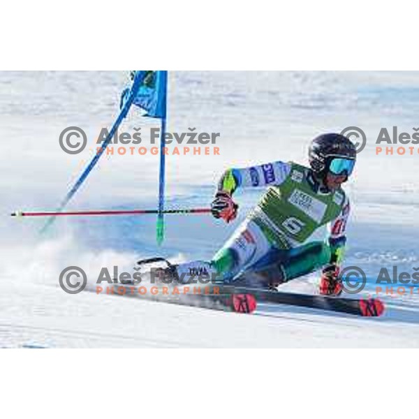 Zan Kranjec (SLO) skiing in the first run of AUDI FIS Ski World Cup Giant Slalom for 61.Vitranc Cup in Kranjska gora, Slovenia on March 12, 2022