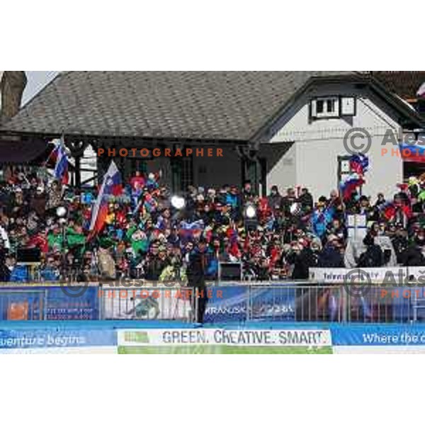 Skiing in the first run of AUDI FIS Ski World Cup Giant Slalom for 61.Vitranc Cup in Kranjska gora, Slovenia on March 12, 2022