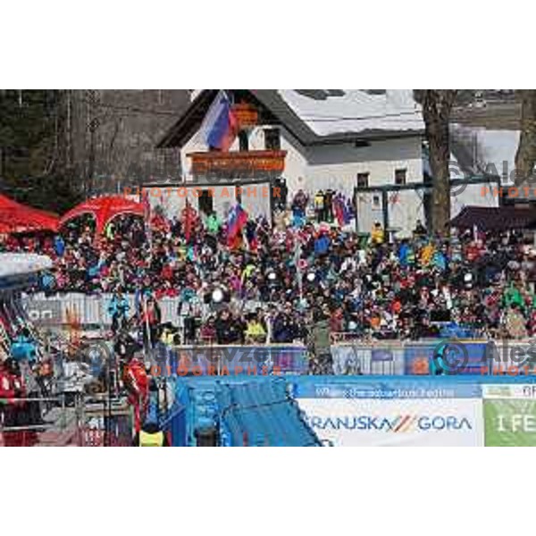 Skiing in the first run of AUDI FIS Ski World Cup Giant Slalom for 61.Vitranc Cup in Kranjska gora, Slovenia on March 12, 2022