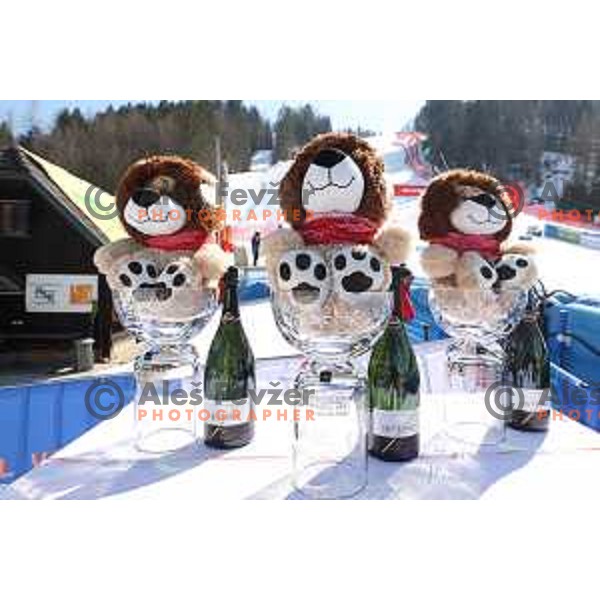 AUDI FIS Ski World Cup Giant Slalom for 61.Vitranc Cup in Kranjska gora, Slovenia on March 12, 2022