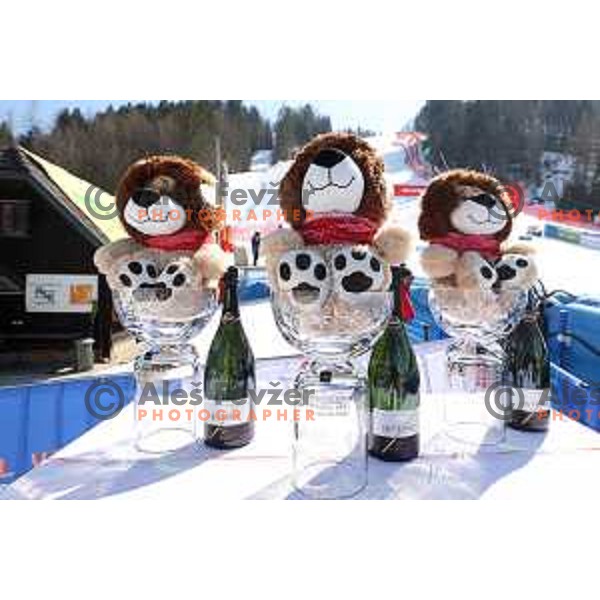 AUDI FIS Ski World Cup Giant Slalom for 61.Vitranc Cup in Kranjska gora, Slovenia on March 12, 2022