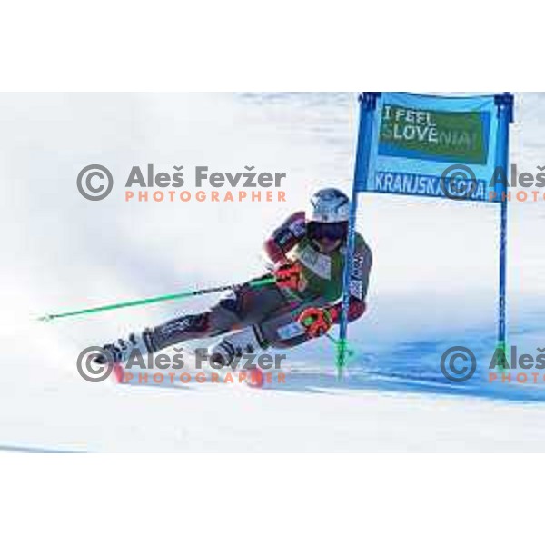 Henrik Kristoffersen (NOR), winner of AUDI FIS Ski World Cup Giant Slalom for 61.Vitranc Cup in Kranjska gora, Slovenia on March 12, 2022