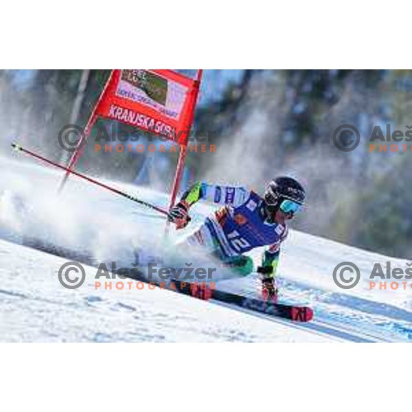 Zan Kranjec (SLO) competes in the first run of AUDI FIS Ski World Cup Giant Slalom for 61.Vitranc Cup in Kranjska gora, Slovenia on March 13, 2022