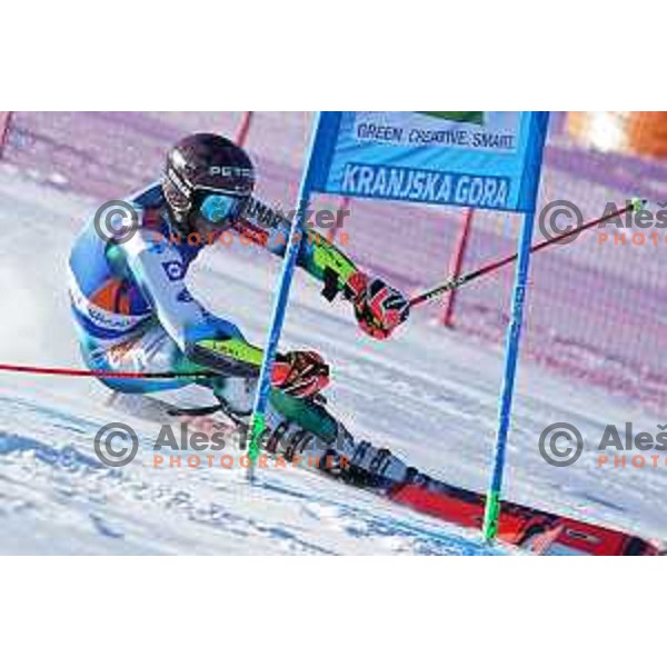 Zan Kranjec (SLO) competes in the first run of AUDI FIS Ski World Cup Giant Slalom for 61.Vitranc Cup in Kranjska gora, Slovenia on March 13, 2022