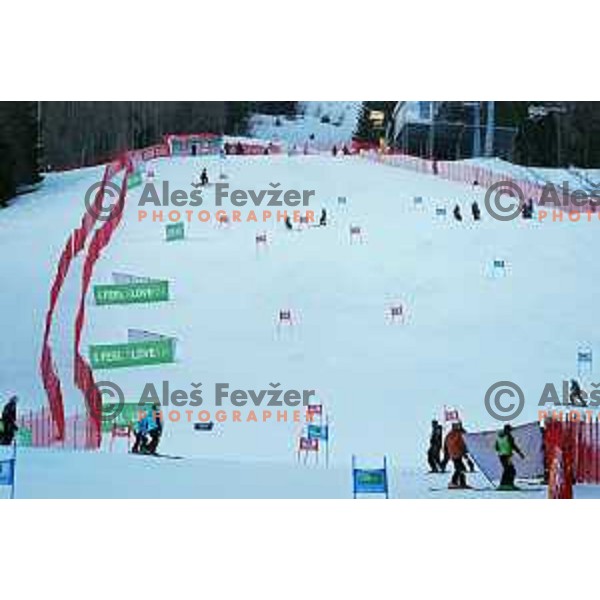 course inspection of AUDI FIS Ski World Cup Giant Slalom for 61.Vitranc Cup in Kranjska gora, Slovenia on March 13, 2022