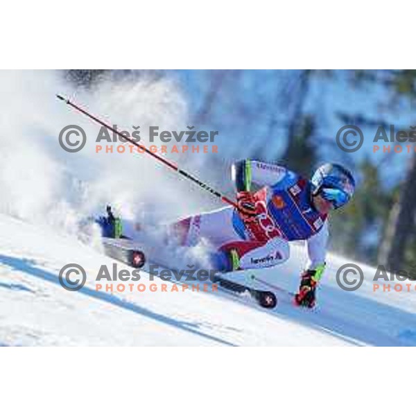AUDI FIS Ski World Cup Giant Slalom for 61.Vitranc Cup in Kranjska gora, Slovenia on March 13, 2022