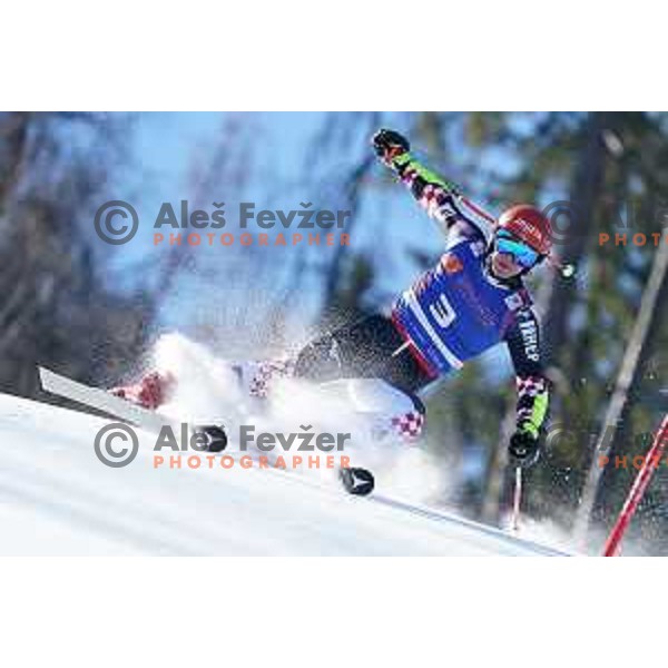 AUDI FIS Ski World Cup Giant Slalom for 61.Vitranc Cup in Kranjska gora, Slovenia on March 13, 2022
