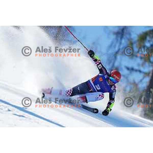 AUDI FIS Ski World Cup Giant Slalom for 61.Vitranc Cup in Kranjska gora, Slovenia on March 13, 2022
