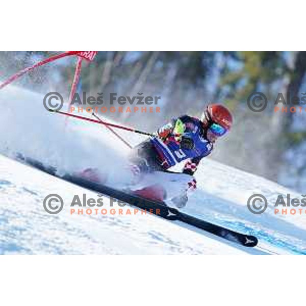 AUDI FIS Ski World Cup Giant Slalom for 61.Vitranc Cup in Kranjska gora, Slovenia on March 13, 2022