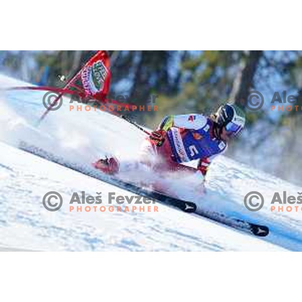 AUDI FIS Ski World Cup Giant Slalom for 61.Vitranc Cup in Kranjska gora, Slovenia on March 13, 2022