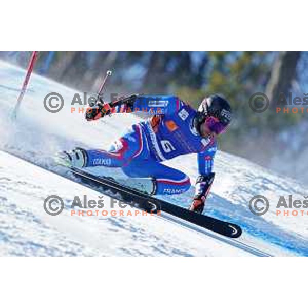 AUDI FIS Ski World Cup Giant Slalom for 61.Vitranc Cup in Kranjska gora, Slovenia on March 13, 2022