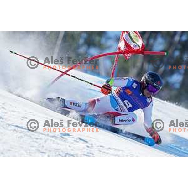 AUDI FIS Ski World Cup Giant Slalom for 61.Vitranc Cup in Kranjska gora, Slovenia on March 13, 2022