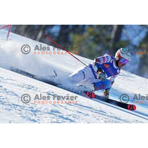 AUDI FIS Ski World Cup Giant Slalom for 61.Vitranc Cup in Kranjska gora, Slovenia on March 13, 2022