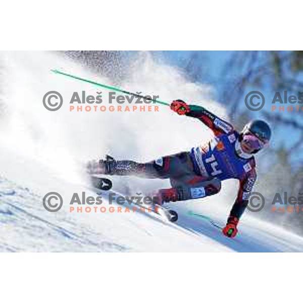 AUDI FIS Ski World Cup Giant Slalom for 61.Vitranc Cup in Kranjska gora, Slovenia on March 13, 2022