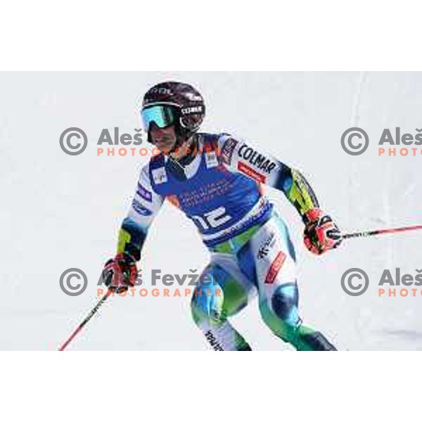 Zan Kranjec (SLO) at AUDI FIS Ski World Cup Giant Slalom for 61.Vitranc Cup in Kranjska gora, Slovenia on March 13, 2022