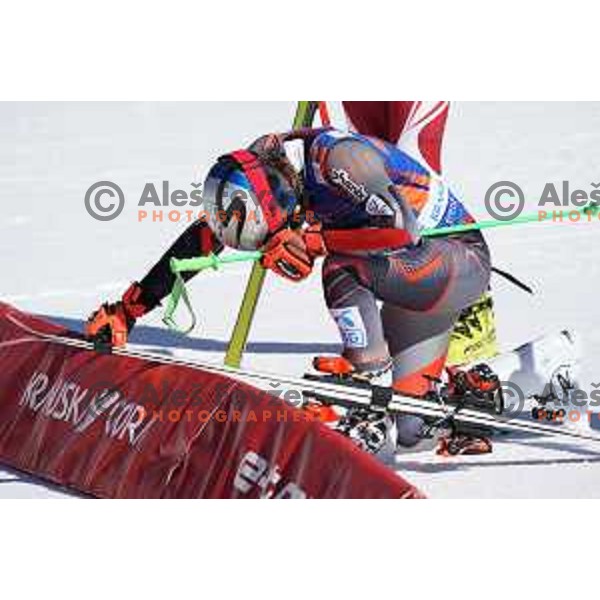 Henrik Kristoffersen (NOR), winner of AUDI FIS Ski World Cup Giant Slalom for 61.Vitranc Cup in Kranjska gora, Slovenia on March 13, 2022