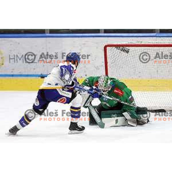 of SZ Olimpija in action during IceHL quarter-final match between SZ Olimpija and VSV in Ljubljana, Slovenia on March 15, 2022