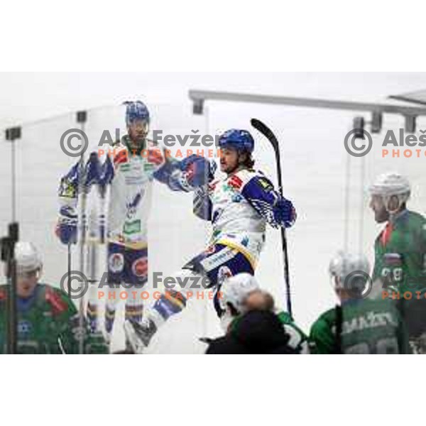 Players of VSV celebrate goal during IceHL quarter-final match between SZ Olimpija and VSV in Ljubljana, Slovenia on March 15, 2022