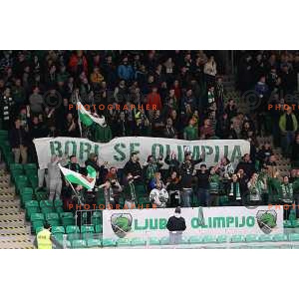 Fans of SZ Olimpija during IceHL quarter-final match between SZ Olimpija and VSV in Ljubljana, Slovenia on March 15, 2022