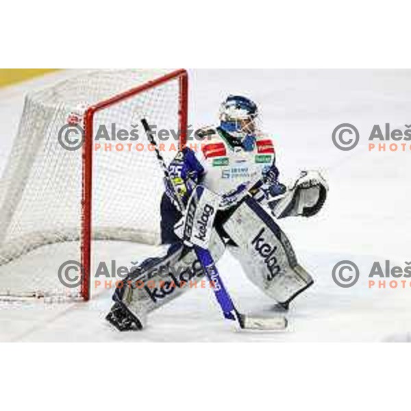 Alexander Schmidt in action during IceHL quarter-final match between SZ Olimpija and VSV in Ljubljana, Slovenia on March 15, 2022