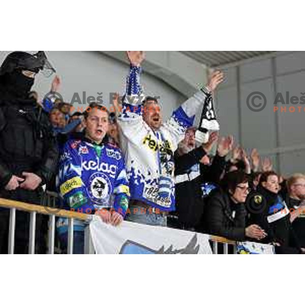 Fans of VSV during IceHL quarter-final match between SZ Olimpija and VSV in Ljubljana, Slovenia on March 15, 2022
