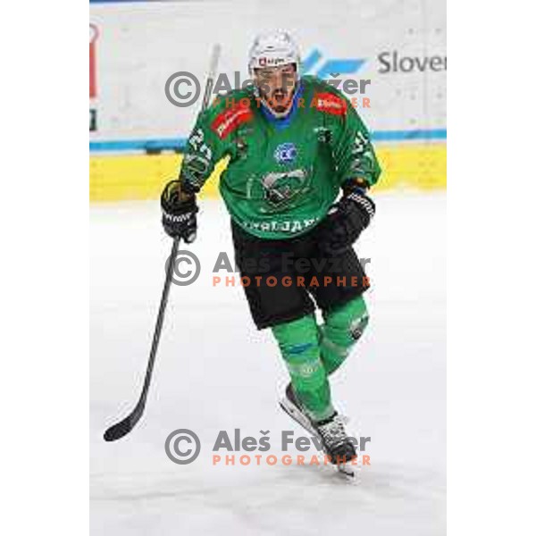 Gregor Koblar celebrates goal during IceHL quarter-final match between SZ Olimpija and VSV in Ljubljana, Slovenia on March 15, 2022