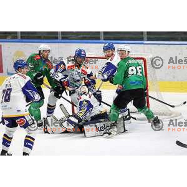 Alexander Schmidt and Blaz Tomazevic in action during IceHL quarter-final match between SZ Olimpija and VSV in Ljubljana, Slovenia on March 15, 2022