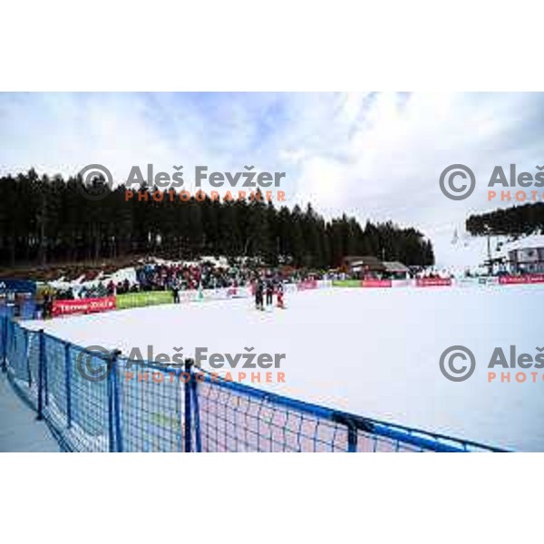competes at FIS Snowboard World Cup Parallel Giant Slalom at Rogla Ski resort, Slovenia on March 16, 2022