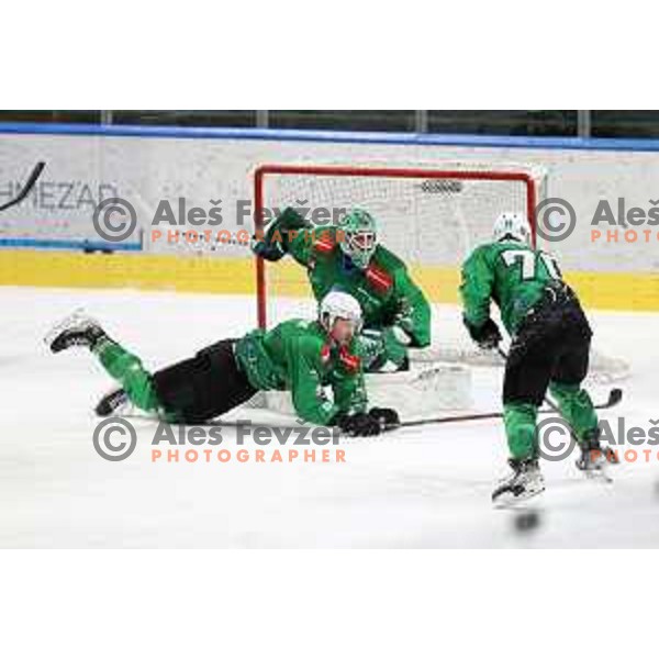 Zan Us during sixt game of quarter-final of IceHL between SZ Olimpija and VSV in Ljubljana, Slovenia on March 20, 2022