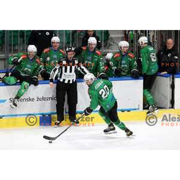 of SZ Olimpija in action during sixt game of quarter-final of IceHL between SZ Olimpija and VSV in Ljubljana, Slovenia on March 20, 2022