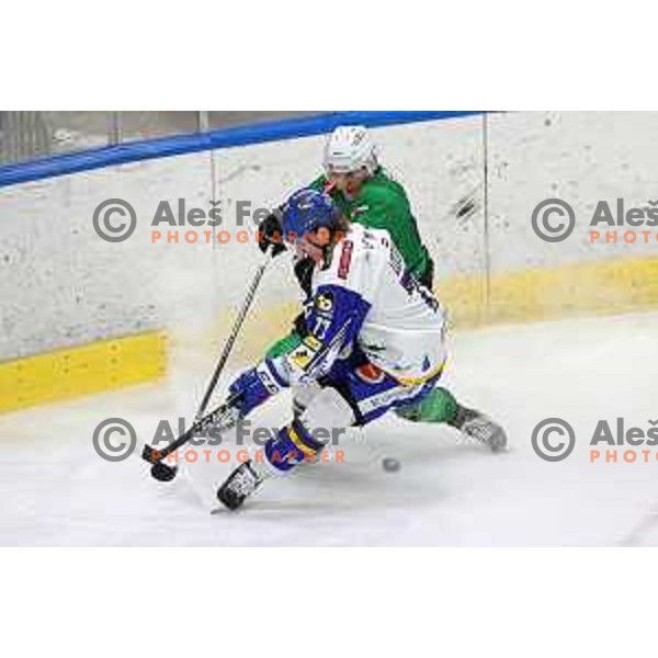 of SZ Olimpija in action during sixt game of quarter-final of IceHL between SZ Olimpija and VSV in Ljubljana, Slovenia on March 20, 2022