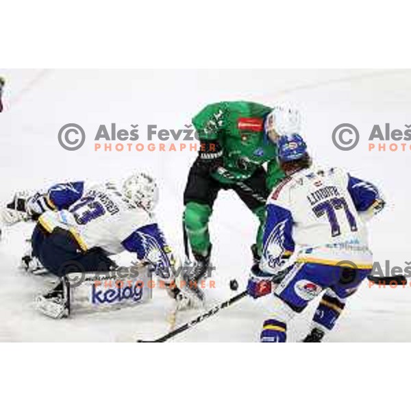 of SZ Olimpija in action during sixt game of quarter-final of IceHL between SZ Olimpija and VSV in Ljubljana, Slovenia on March 20, 2022