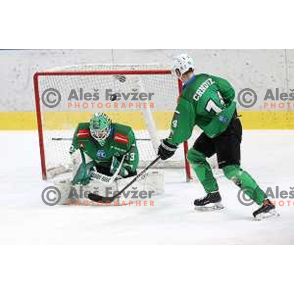 Zan Us during sixt game of quarter-final of IceHL between SZ Olimpija and VSV in Ljubljana, Slovenia on March 20, 2022