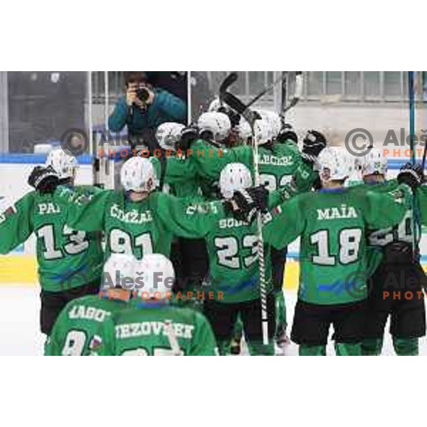 of SZ Olimpija in action during sixt game of quarter-final of IceHL between SZ Olimpija and VSV in Ljubljana, Slovenia on March 20, 2022