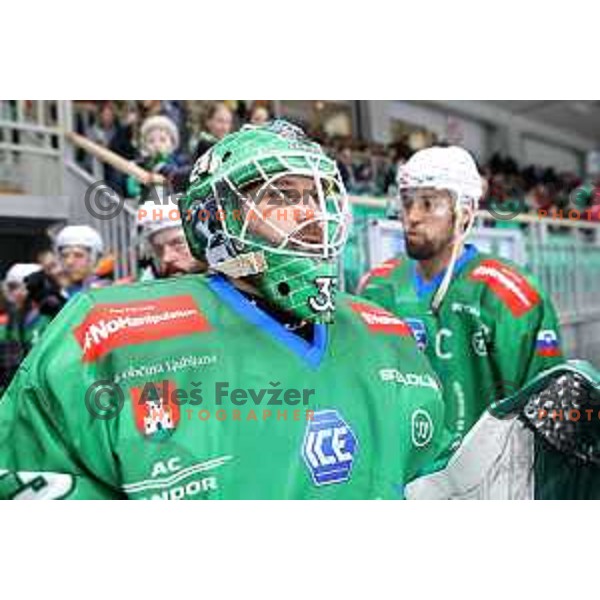 of SZ Olimpija in action during sixt game of quarter-final of IceHL between SZ Olimpija and VSV in Ljubljana, Slovenia on March 20, 2022