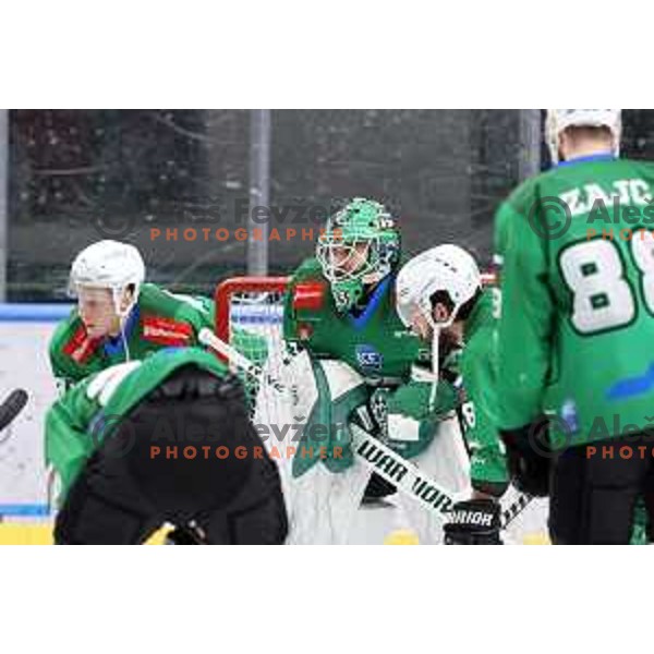 of SZ Olimpija in action during sixt game of quarter-final of IceHL between SZ Olimpija and VSV in Ljubljana, Slovenia on March 20, 2022