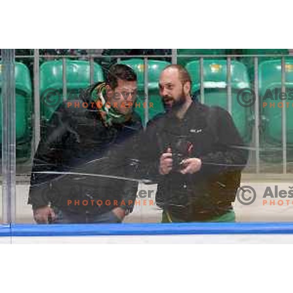 Sani Becirovic and Tine Ruzic during sixt game of quarter-final of IceHL between SZ Olimpija and VSV in Ljubljana, Slovenia on March 20, 2022