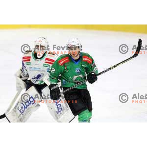 of SZ Olimpija in action during sixt game of quarter-final of IceHL between SZ Olimpija and VSV in Ljubljana, Slovenia on March 20, 2022