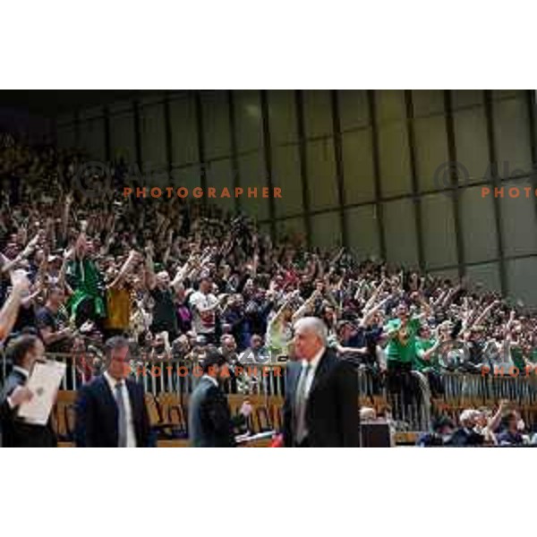 Fans of Cedevita Olimpija during ABA league regular season basketball match between Cedevita Olimpija and Partizan NIS in Tivoli Hall, Ljubljana, Slovenia on March 27, 2022