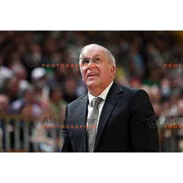 Zeljko Obradovic in action during ABA league regular season basketball match between Cedevita Olimpija and Partizan NIS in Tivoli Hall, Ljubljana, Slovenia on March 27, 2022