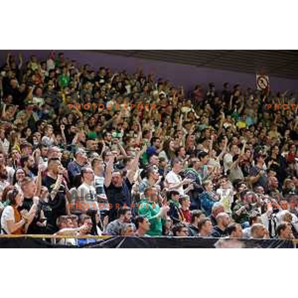 Fans of Cedevita Olimpija during ABA league regular season basketball match between Cedevita Olimpija and Partizan NIS in Tivoli Hall, Ljubljana, Slovenia on March 27, 2022