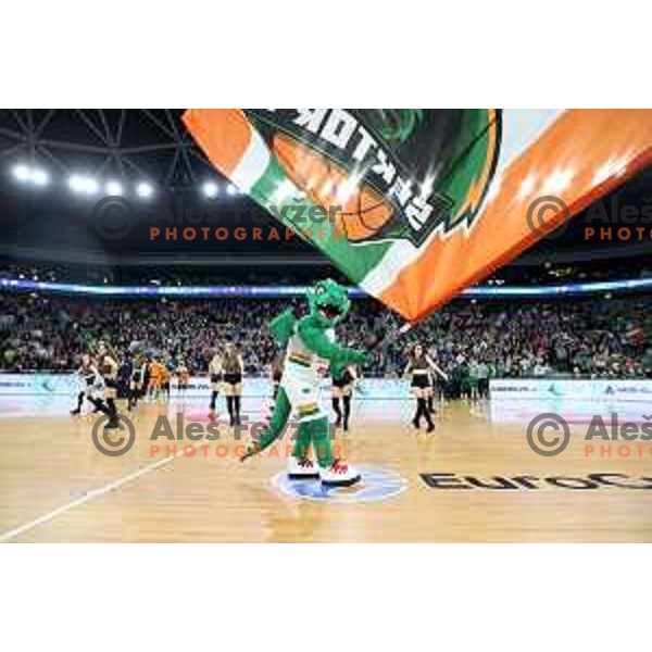 Fans of Cedevita Olimpija in action during 7days EuroCup regular season basketball match between Cedevita Olimpija and Valencia basket in Stozice, Arena, Ljubljana, Slovenia on March 30, 2022