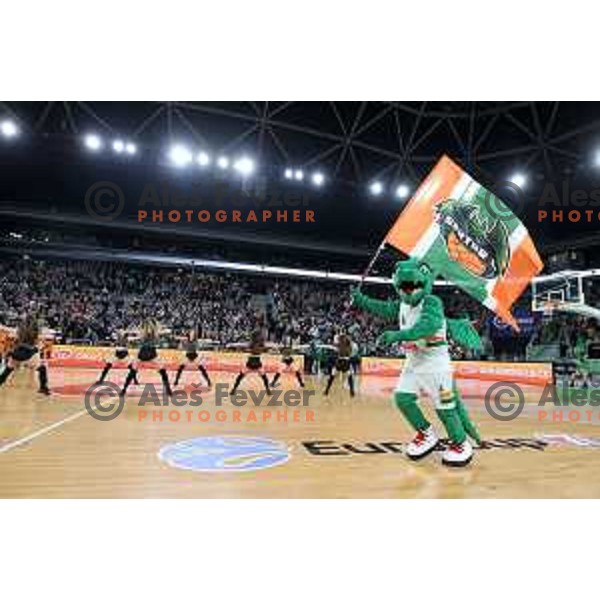 Fans of Cedevita Olimpija in action during 7days EuroCup regular season basketball match between Cedevita Olimpija and Valencia basket in Stozice, Arena, Ljubljana, Slovenia on March 30, 2022