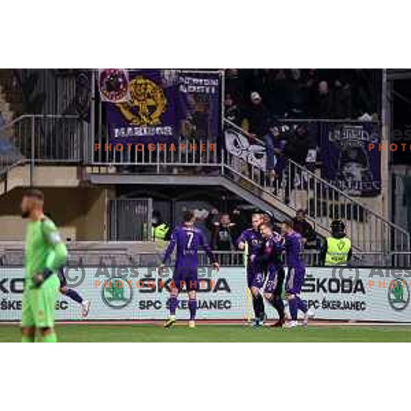 Rok Kronaveter, Ognjen Mudrinski, Martin Milec and Djordje Ivanovic celebrate goal during Prva Liga Telemach 2021-2022 football match between Domzale and Maribor in Domzale Sports Park, Slovenia on April 2, 2022