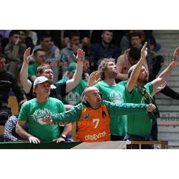 Zoran Dragic in action during ABA league regular season basketball match between Cedevita Olimpija and Cibona in Tivoli Hall, Ljubljana, Slovenia on April 10, 2022