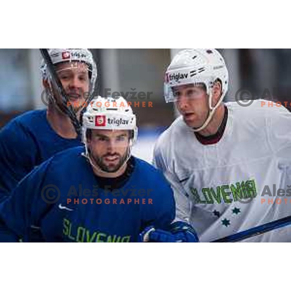 Slovenia ice-hockey team during practice session in Bled Ice Hall, Slovenia on April 11, 2022