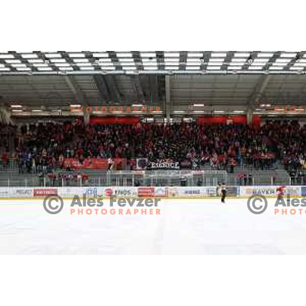 in action during second game of the Final of Alps league ice-hockey match between Sij Acroni Jesenice (SLO) and Migross Asiago (ITA) in Podmezakla Hall, Jesenice on April 12, 2022