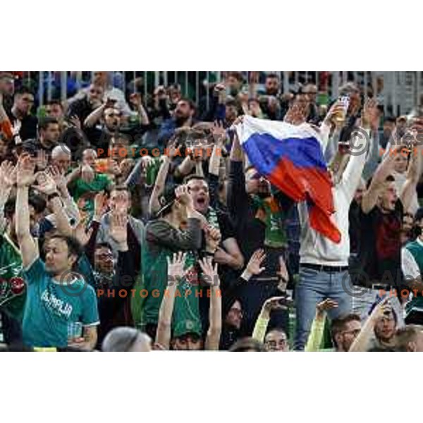 Fans of Cedevita Olimpija in action during eight-final of 7days EuroCup basketball match between Cedevita Olimpija and Turk Telekom in Stozice, Arena, Ljubljana, Slovenia on April 19, 2022