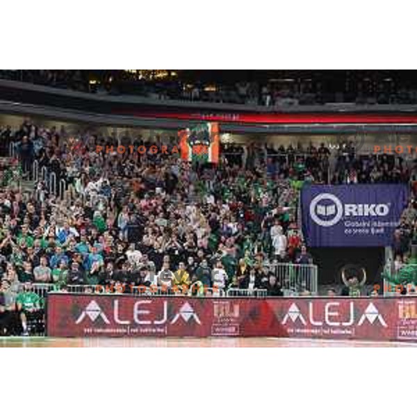 Fans of Cedevita Olimpija in action during eight-final of 7days EuroCup basketball match between Cedevita Olimpija and Turk Telekom in Stozice, Arena, Ljubljana, Slovenia on April 19, 2022