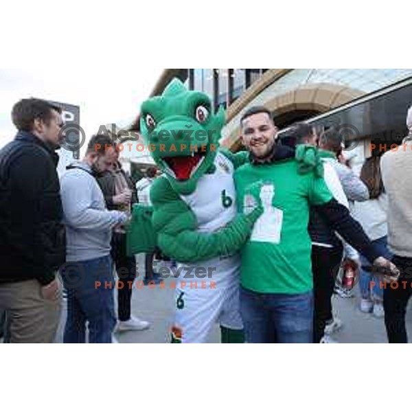 Fans of Cedevita Olimpija outside Stozice Arena before start of quarter-final of 7days EuroCup basketball match between Cedevita Olimpija and Frutti Extra Bursaspor in Ljubljana, Slovenia on April 27, 2022